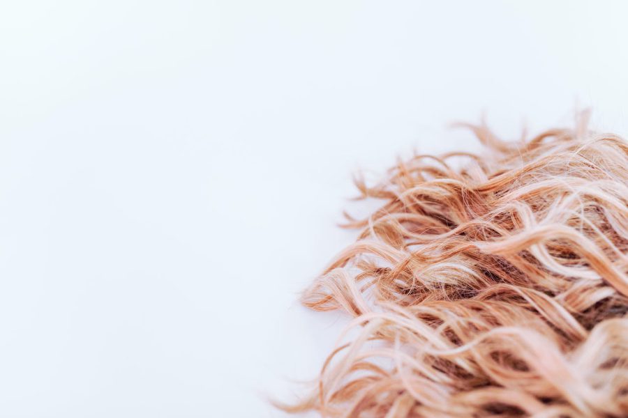 Dlaczego włosy wypadają – przyczyny i jak im zapobiegać?